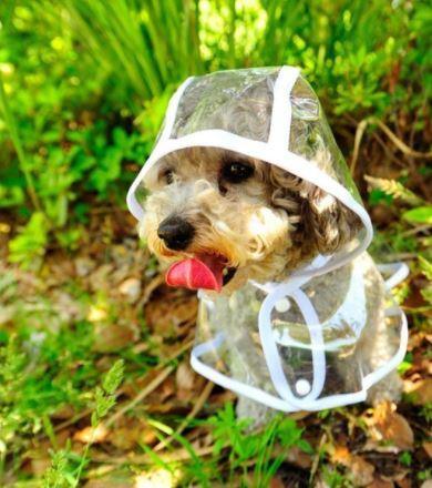 Honden Poncho™ - Houd je hond beschermd in de regen!