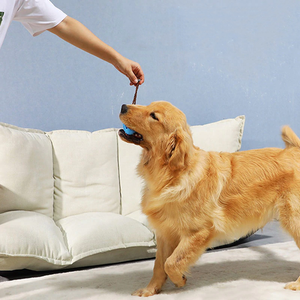 Honden Tandenborstel Speeltje