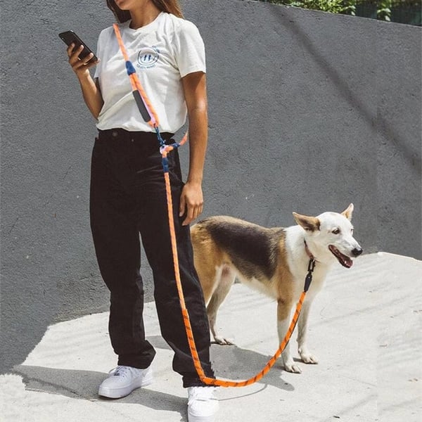 Hands Free Hondenriem