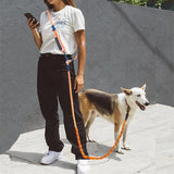 Hands Free Hondenriem