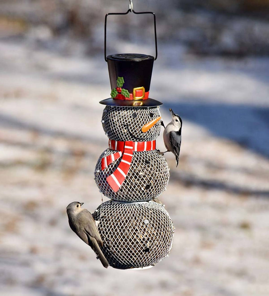Sneeuwpop Vogelvoeder