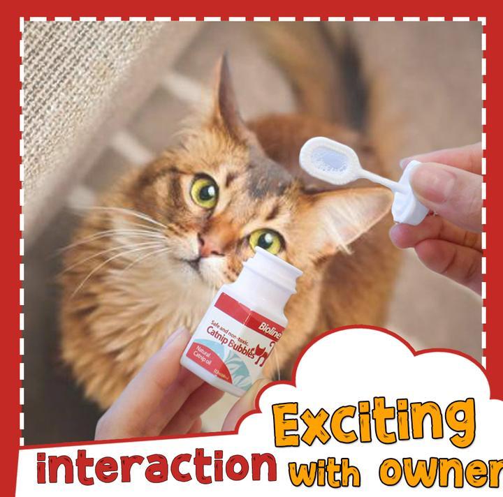 Kattenkruid Bellenblaas