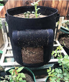 Plant-, Fruit- of Groente Groei Zak