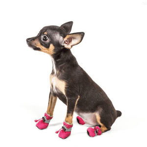 Waterdichte Honden Schoentjes