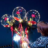 LED Ballon: Bloem Set