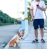 Hands Free Hondenriem