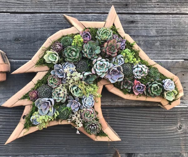 Groene Oase Houten Plantenbak