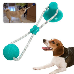 HONDENSPEELTJE MET ZUIGNAP 'PLAYDOG'