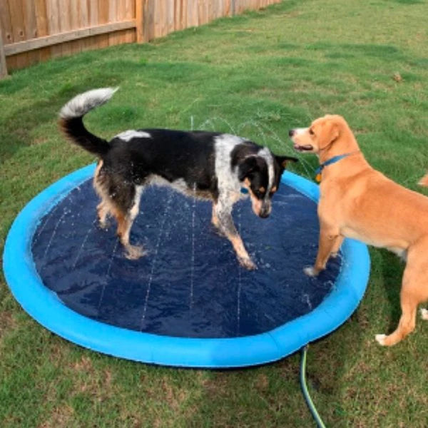 HAPPY SPLASH™ | HUISDIEREN WATER SPEELPLEZIER