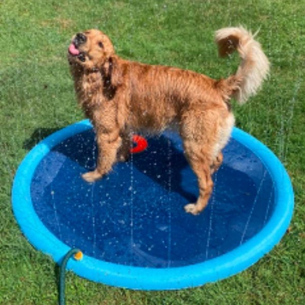 HAPPY SPLASH™ | HUISDIEREN WATER SPEELPLEZIER