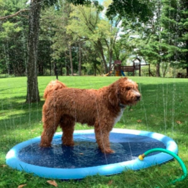 HAPPY SPLASH™ | HUISDIEREN WATER SPEELPLEZIER