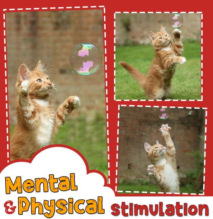 Kattenkruid Bellenblaas