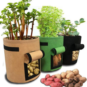Plant-, Fruit- of Groente Groei Zak