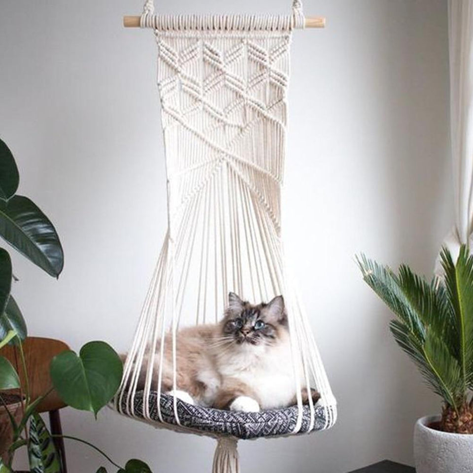 Katten Hangmat