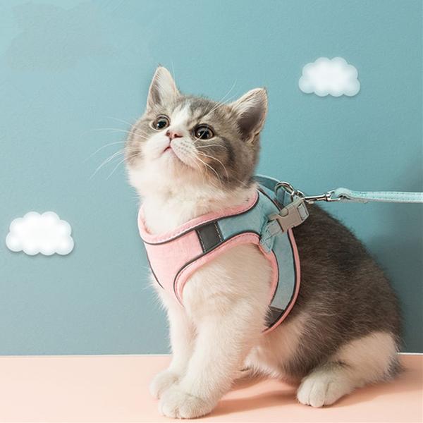 KATTEN HARNAS & RIEM