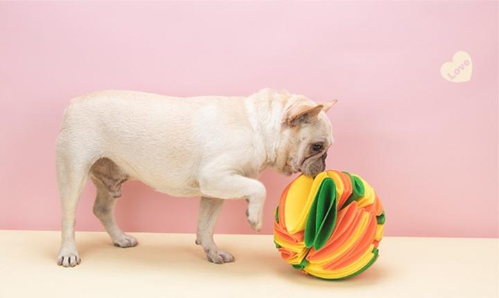 Snuffelbal™ - Voor een gezond en gelukkig huisdier!