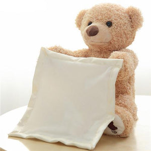 Educatieve Teddybeer Kiekaboe