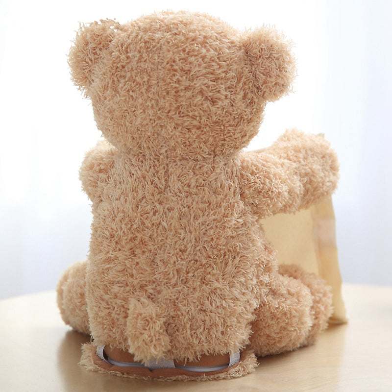 Educatieve Teddybeer Kiekaboe