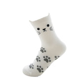 Schattige Katten Sokken