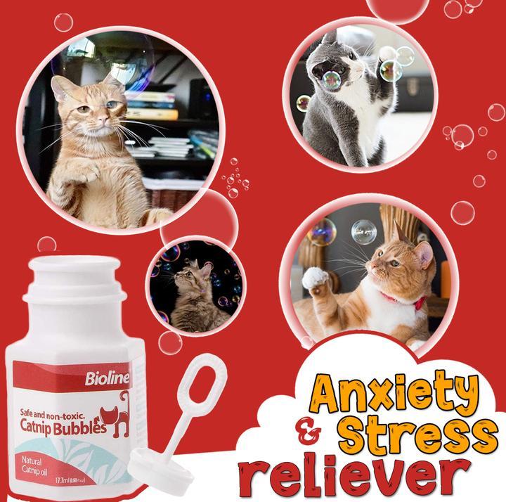 Kattenkruid Bellenblaas