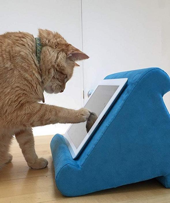 Multifunctionele Tablet-Houder